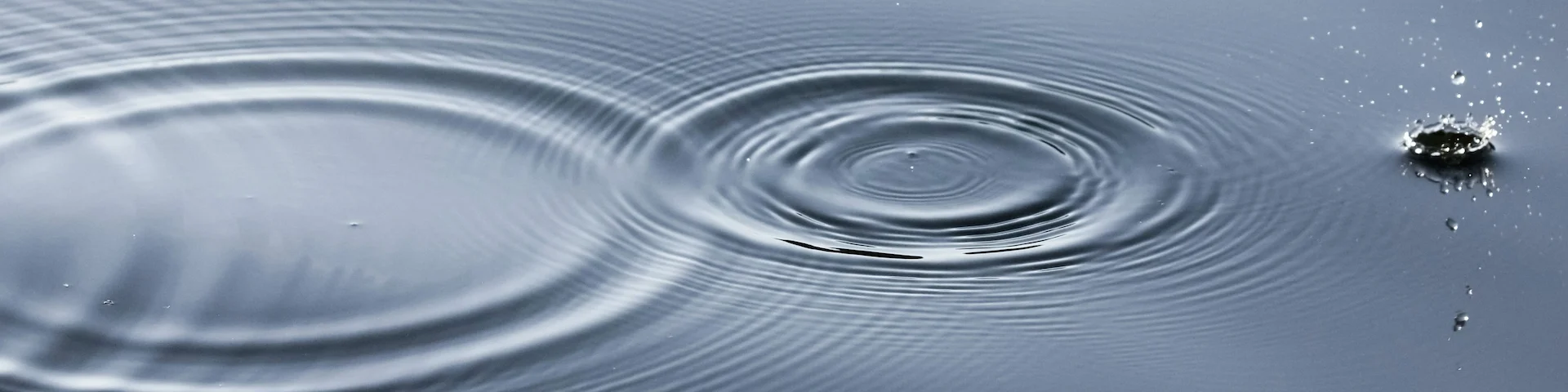 a splash in calm water and some ripples